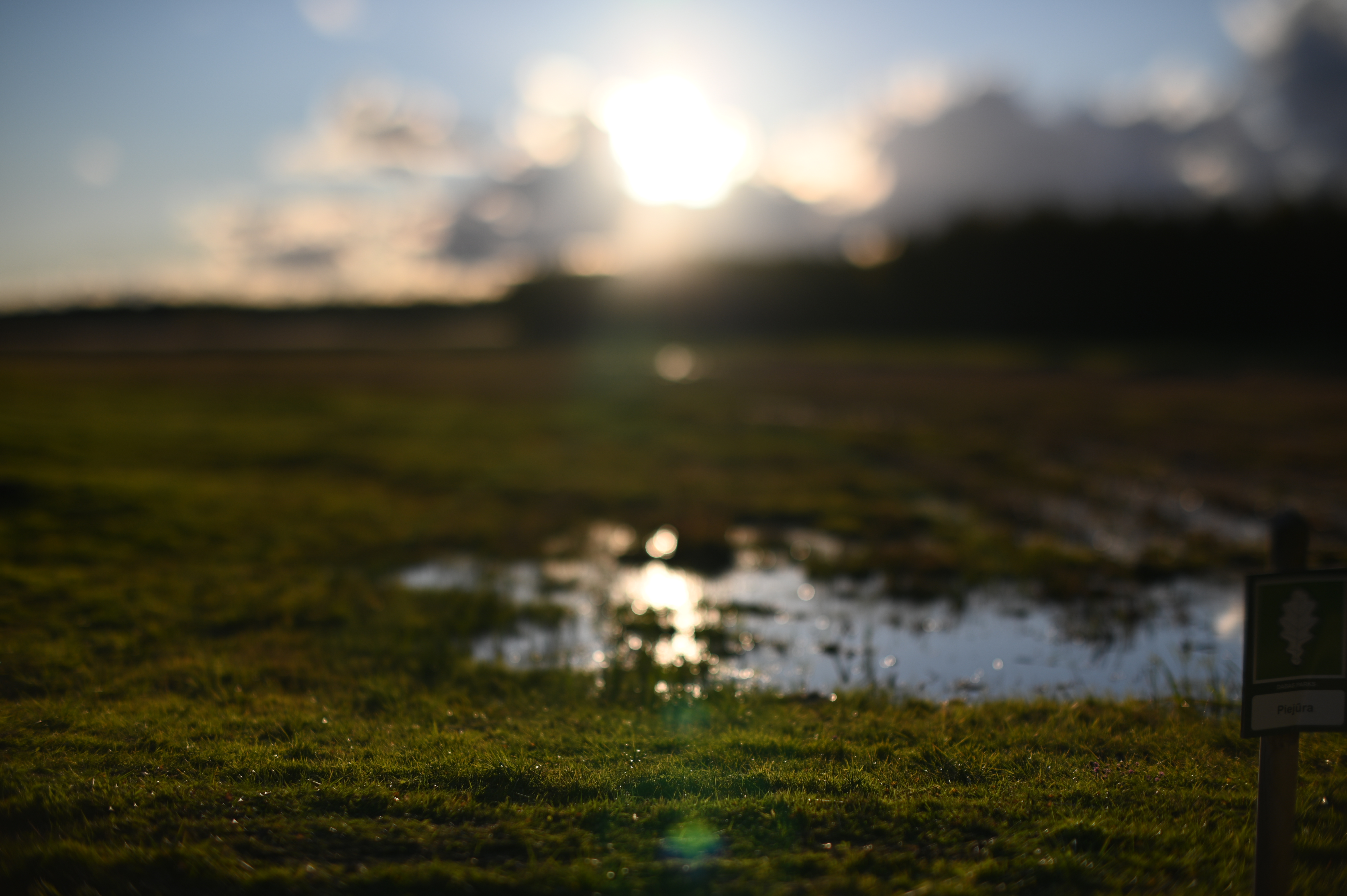 2025/10/18 - walk/DSC_0180.JPG